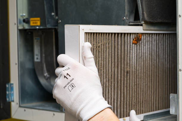 Best Affordable HVAC Duct Cleaning  in Cutten, CA