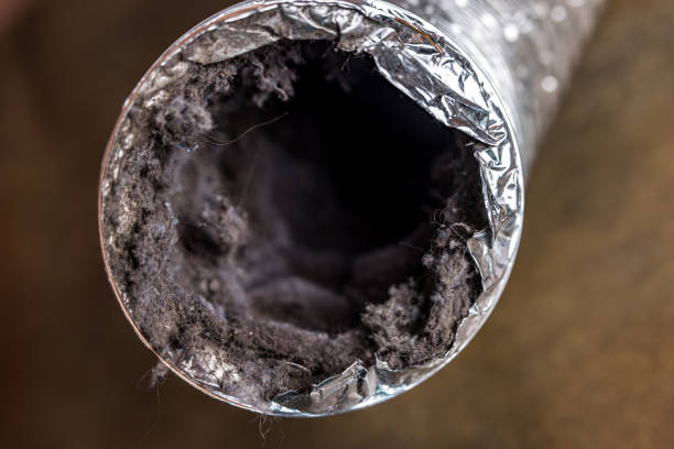 Best Affordable Air Duct Cleaning  in Cutten, CA