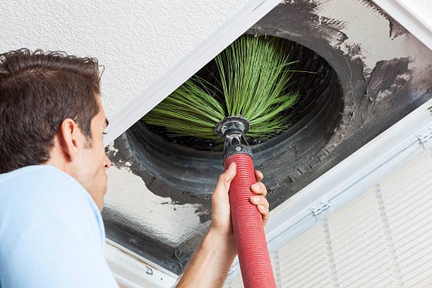 Best Affordable Duct Cleaning Services  in Cutten, CA